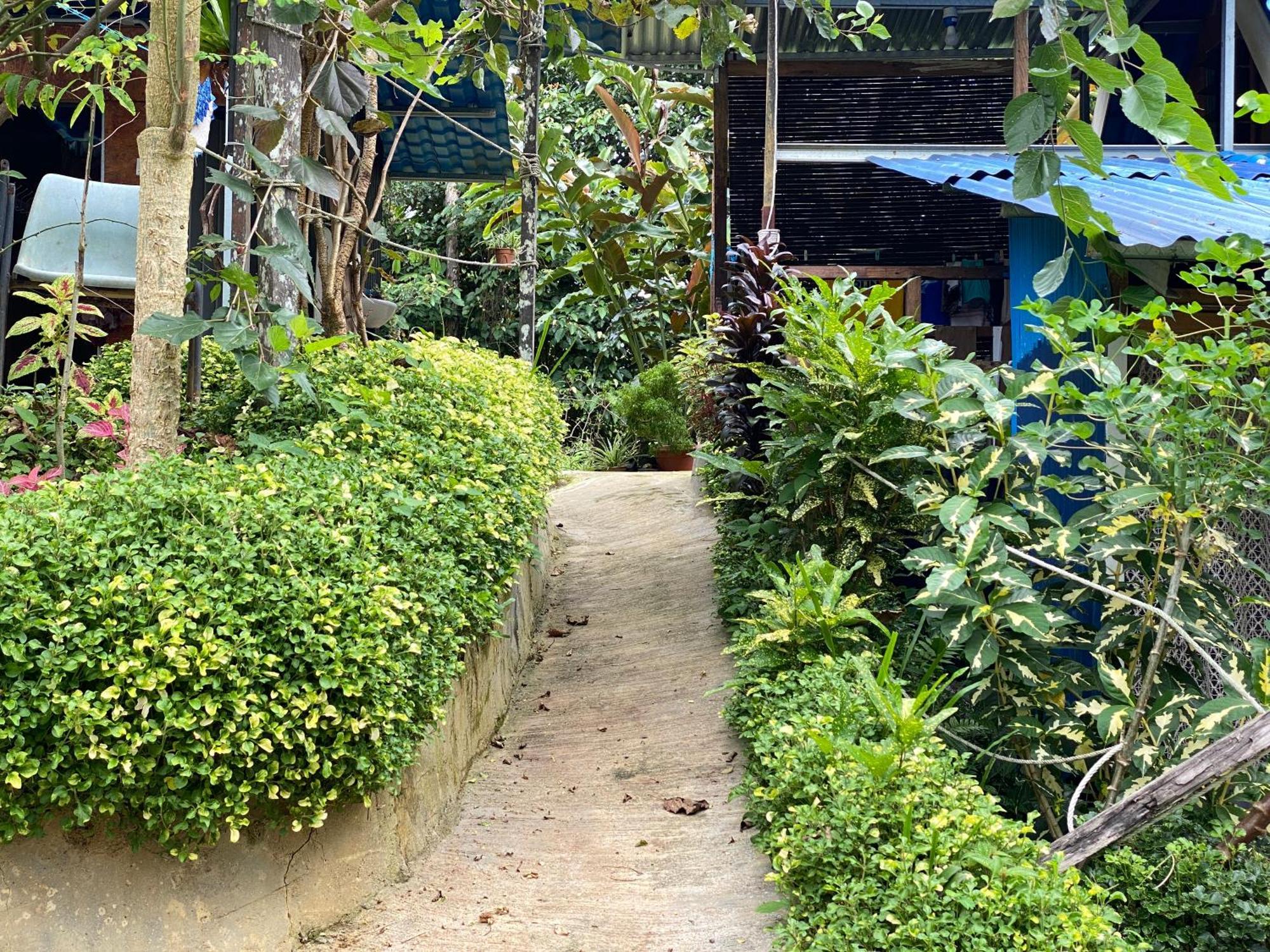 ホテル Da Family Mini Garden ラナウ エクステリア 写真