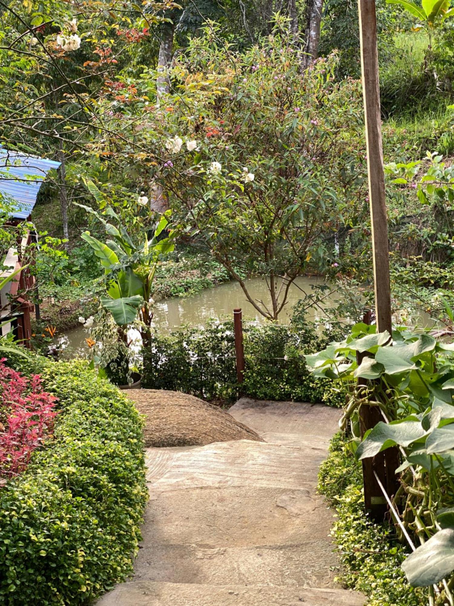 ホテル Da Family Mini Garden ラナウ エクステリア 写真